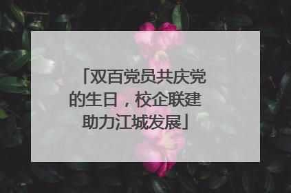 双百党员共庆党的生日，校企联建助力江城发展